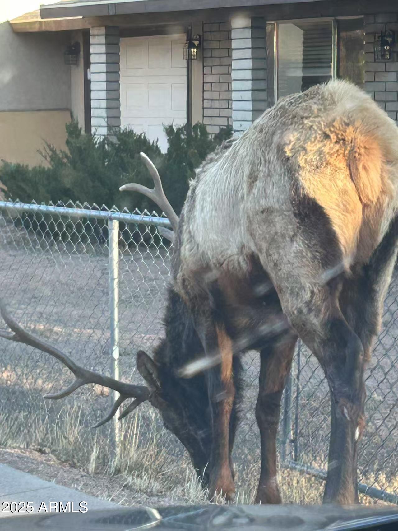 511 Saguaro Circle, Unit 20 Payson, AZ 85541 - Photo 6 of 6 a view of a yard