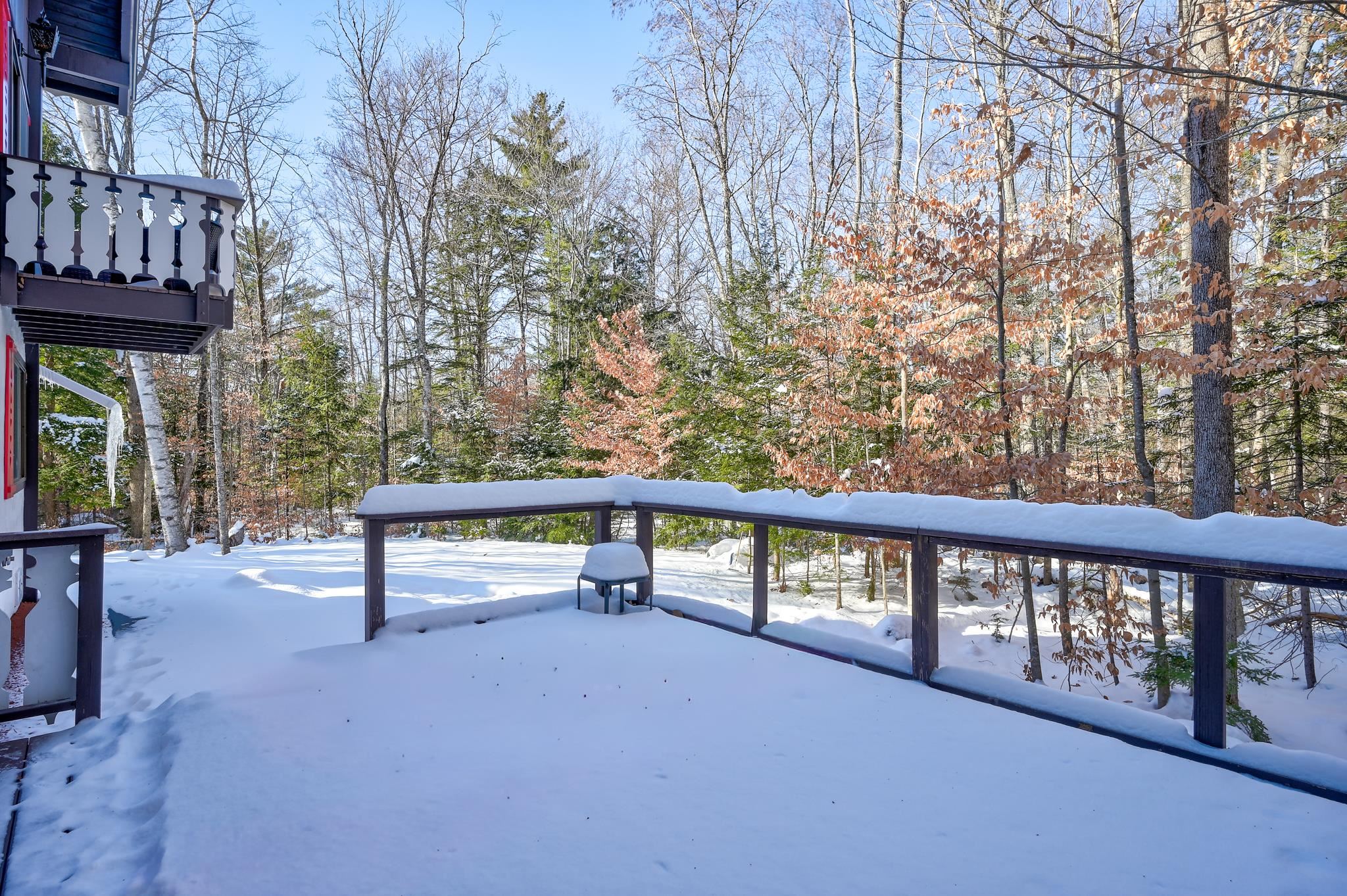 65 Mittenwald Strasse Bartlett, NH 03838 - Photo 3 of 48