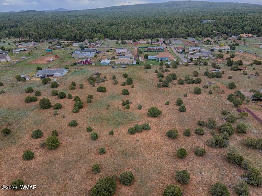 Tbd Hi Joe Road Lakeside, AZ 85929 - Photo 4 of 10