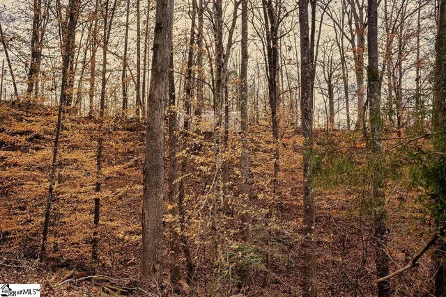 $35,000 | 1 Blue Heron Cove, Abbeville, SC 29620