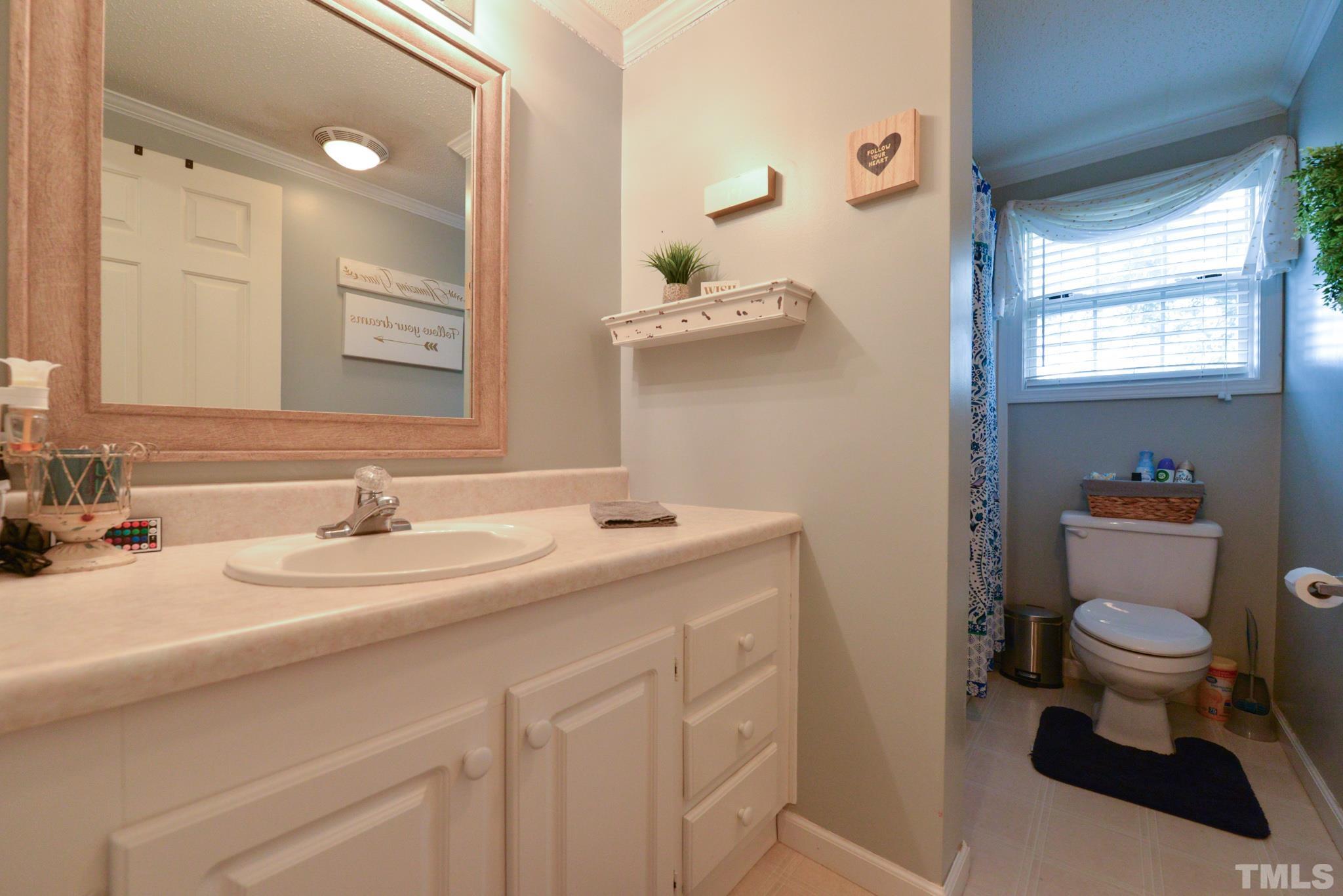 7175 Driver Road Zebulon, NC 27597 - Photo 18 of 30 a bathroom with a sink a toilet and a mirror