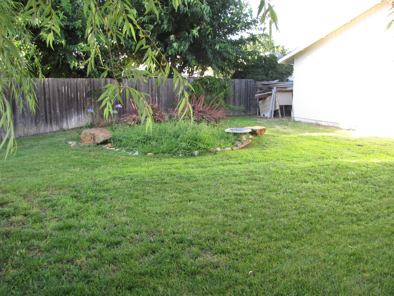 1170 Beltline Road Redding, CA 96003 - Photo 7 of 11 Backyard