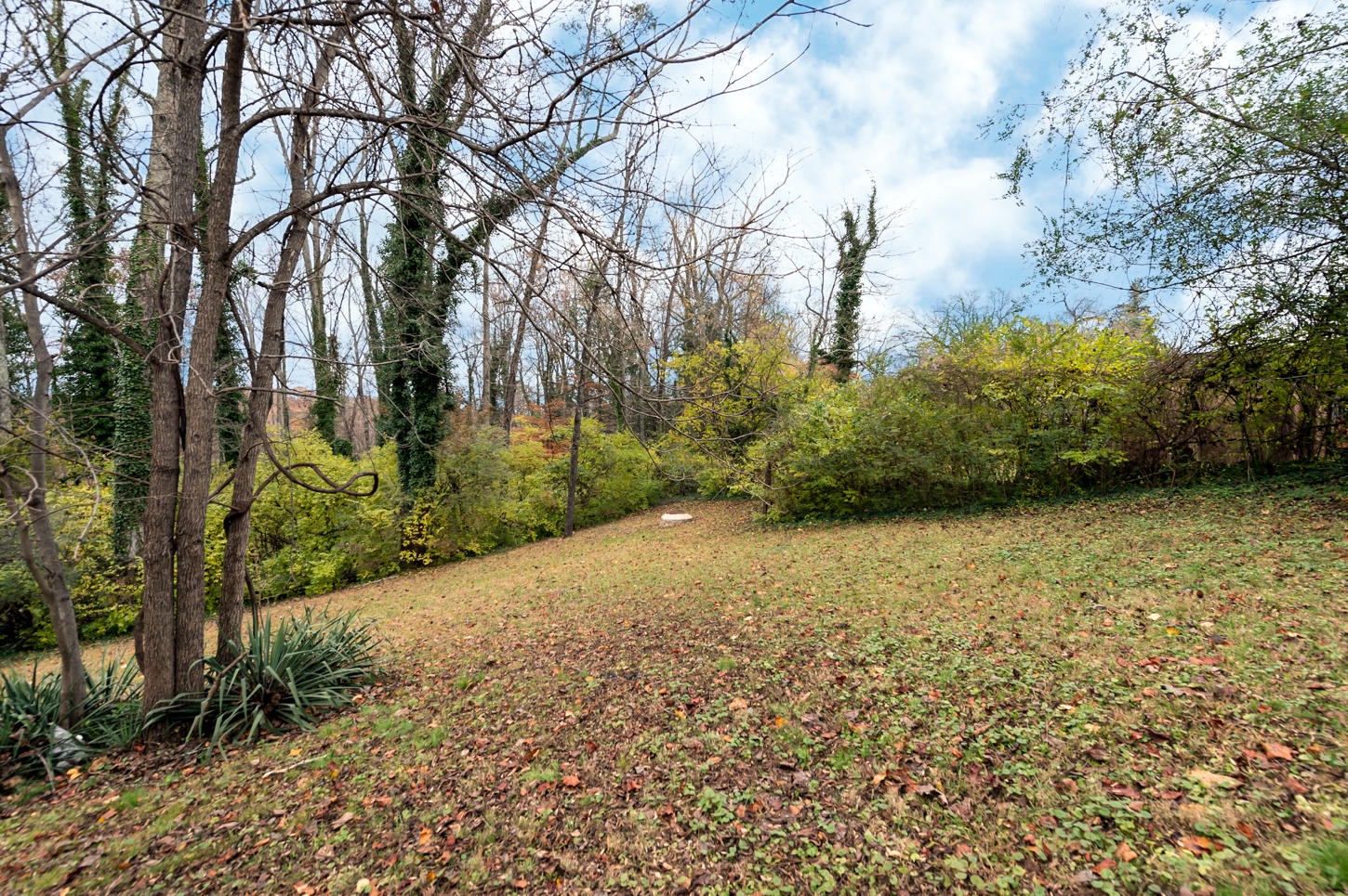 122 Euclid Circle Oak Ridge, TN 37830 - Photo 17 of 20 a view of a yard with plants and trees