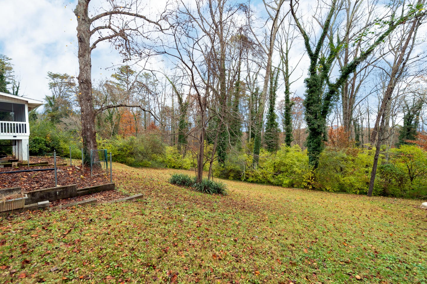 122 Euclid Circle Oak Ridge, TN 37830 - Photo 18 of 20 a view of a yard with plants and trees