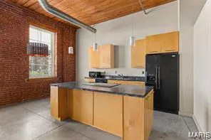 $1,250 | 721 North 17th Street, Unit 306, St. Louis, MO 63103