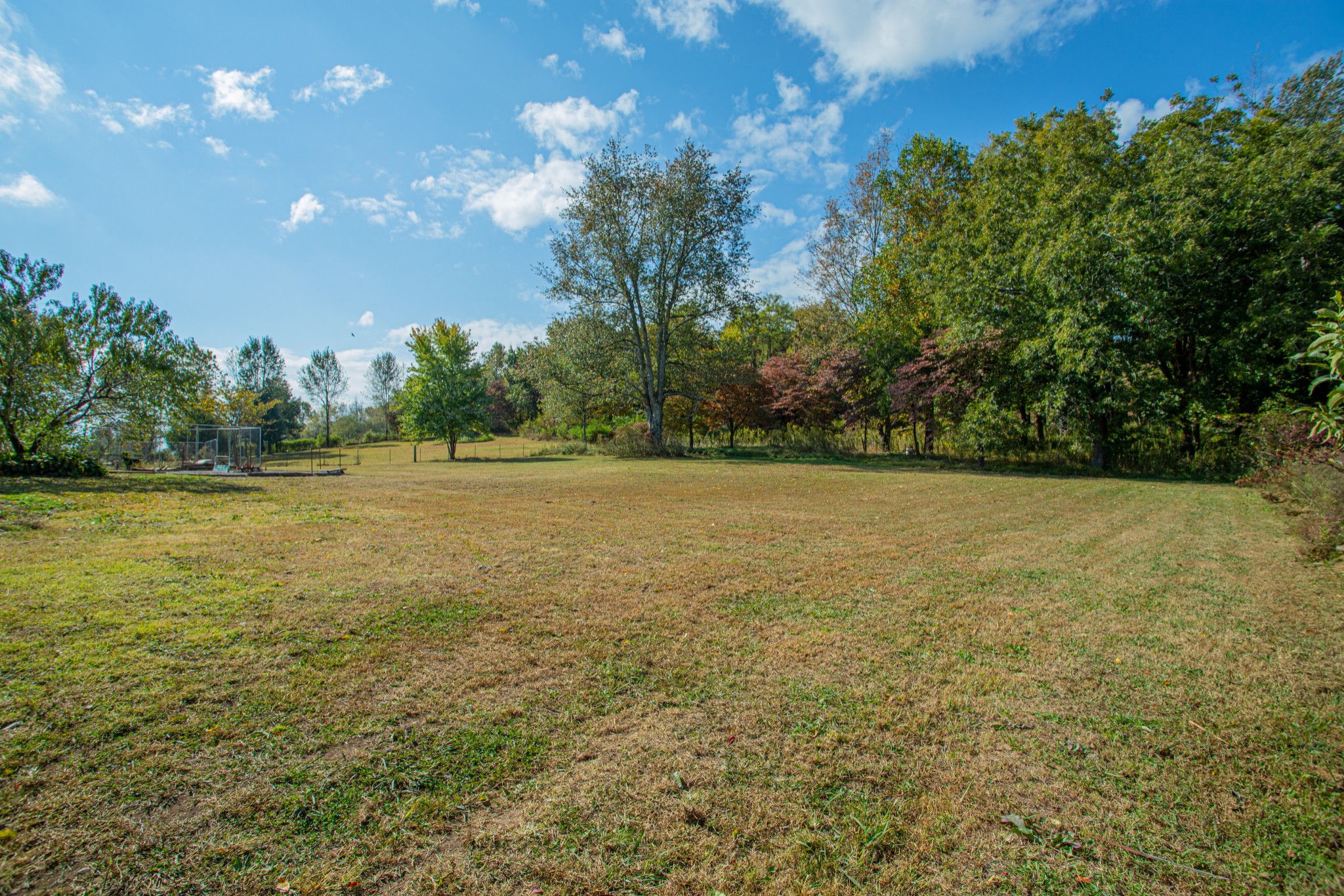 1394 Harpo Road Manchester, TN 37355 - Photo 27 of 32 a view of a field with an trees in the background