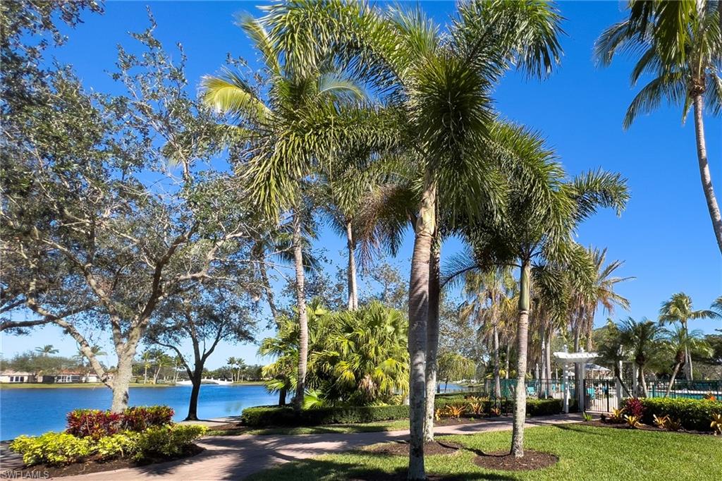 4167 St George Lane Naples, FL 34119 - Photo 11 of 14 a view of a yard with palm trees