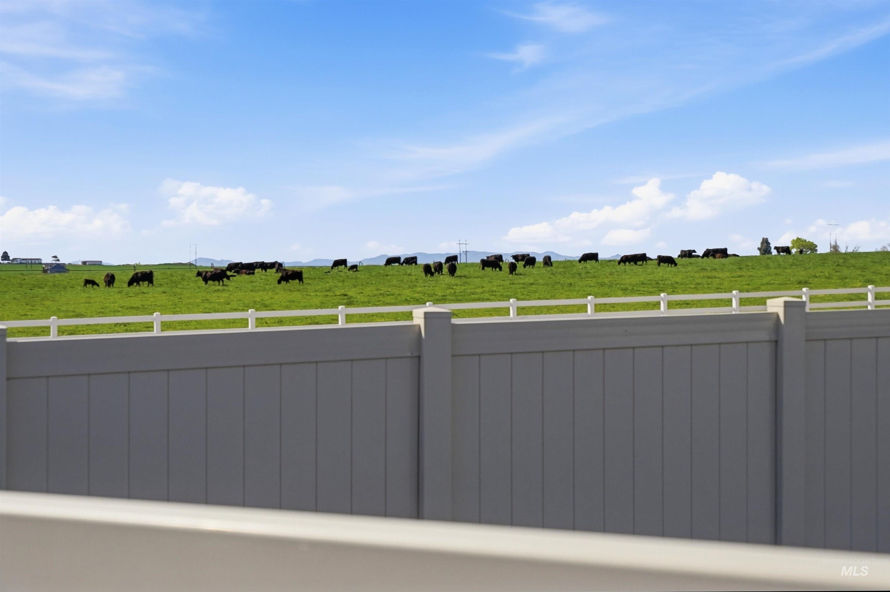 15038 Cumulus Place Caldwell, ID 83607 - Photo 33 of 43