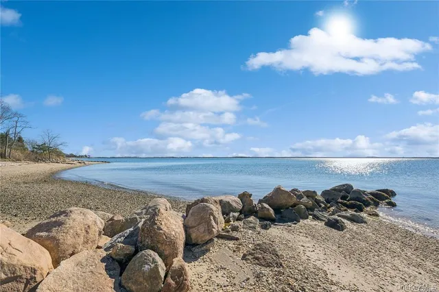 a view of a yard with plants and trees