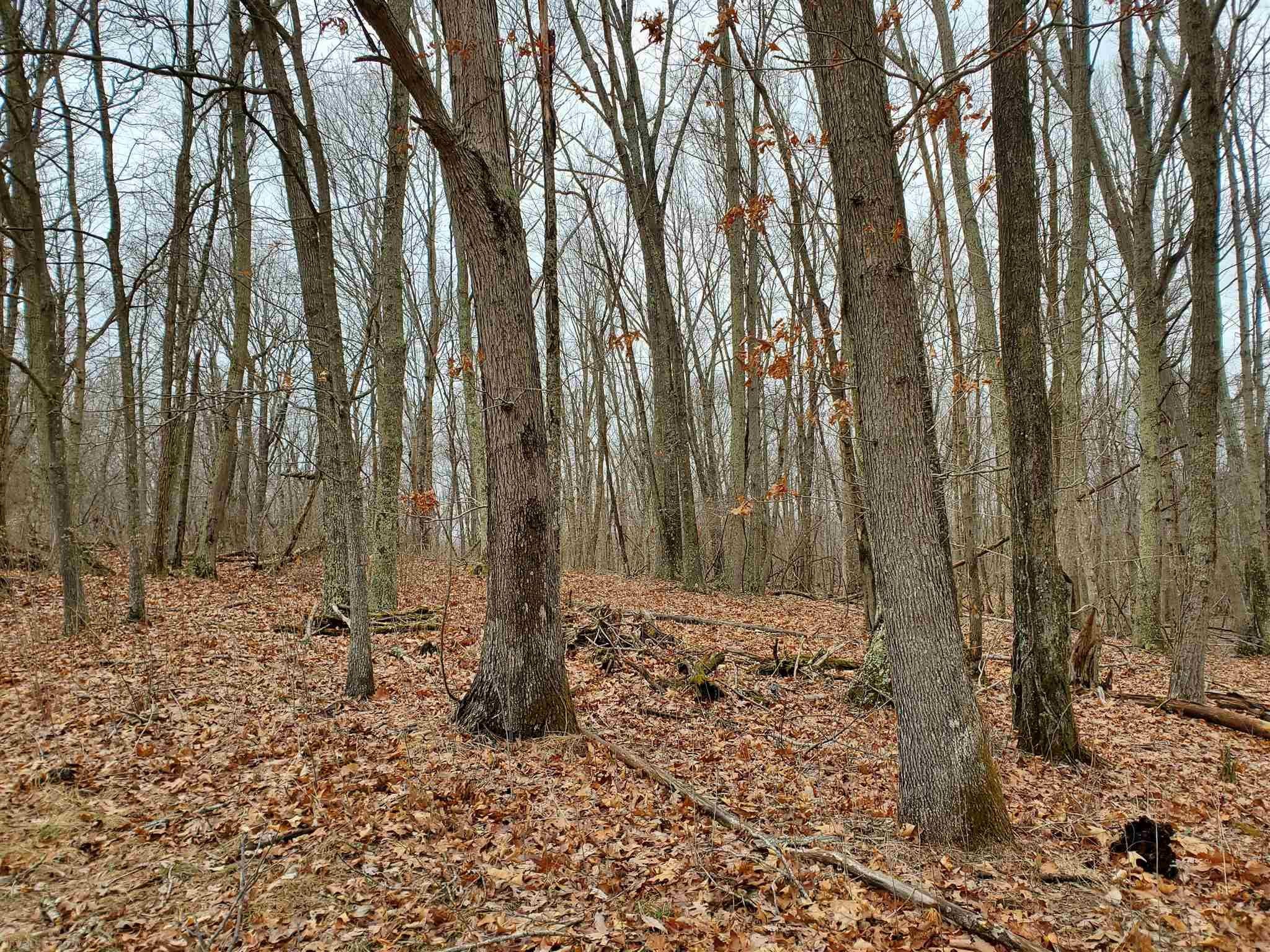 4860 Morris Road Hiwassee, VA 24347 - Photo 12 of 13 Gallery Image 12