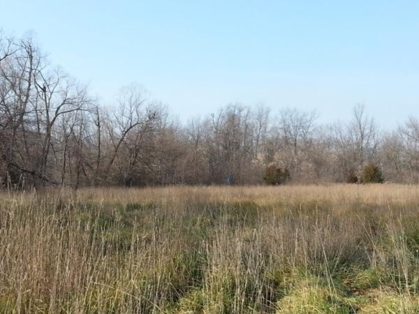 West Fenn Road Coldwater, MI 49036 - Photo 1 of 2 Primary Photo