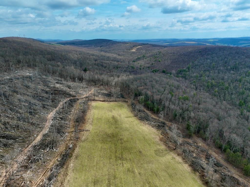 1250 Piney Run Road Salisbury, PA 15558 - Photo 10 of 30