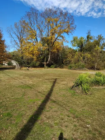 a view of an ocean beach