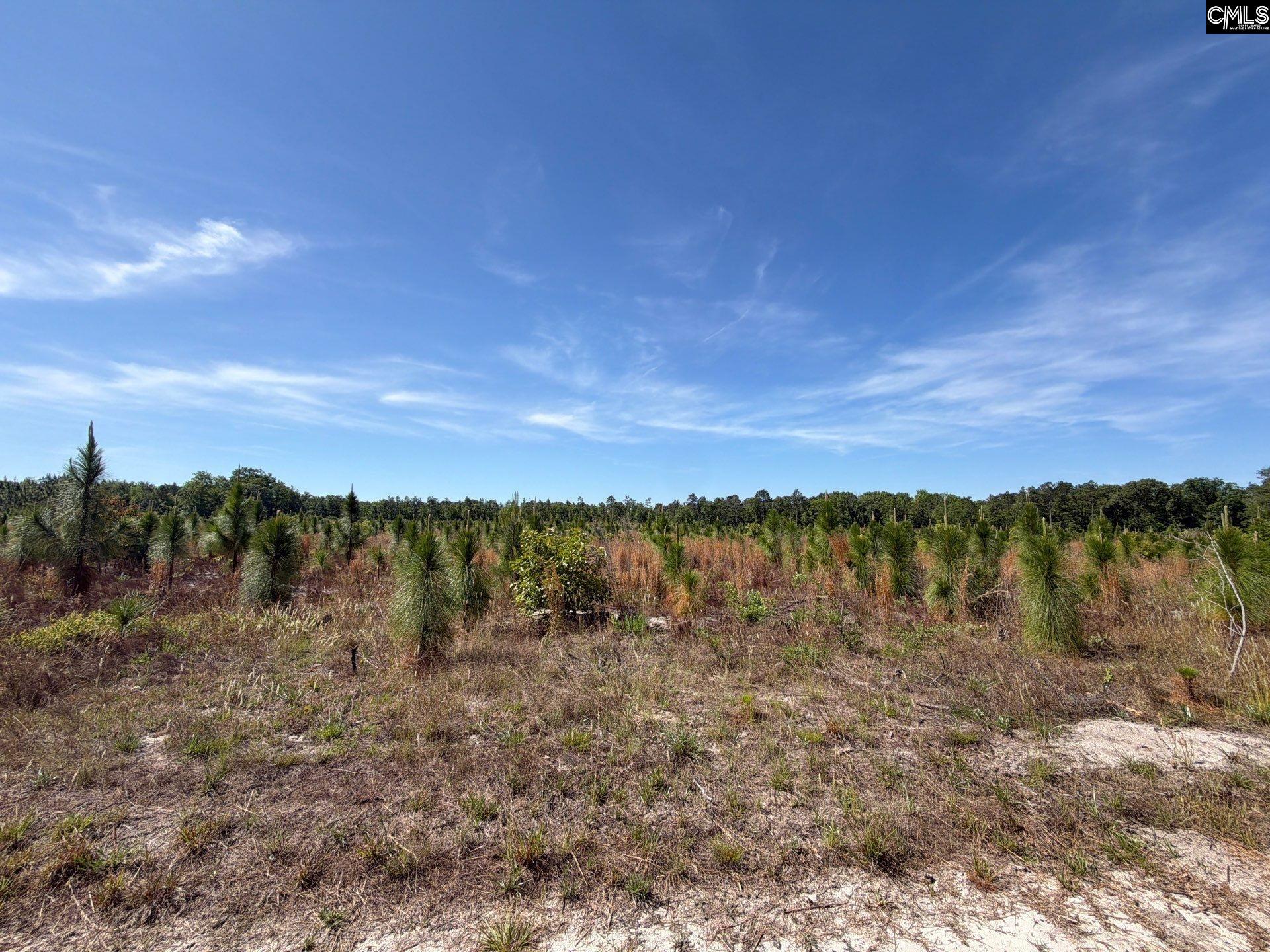 3 Holstein Road Monetta, SC 29105 - Photo 12 of 17
