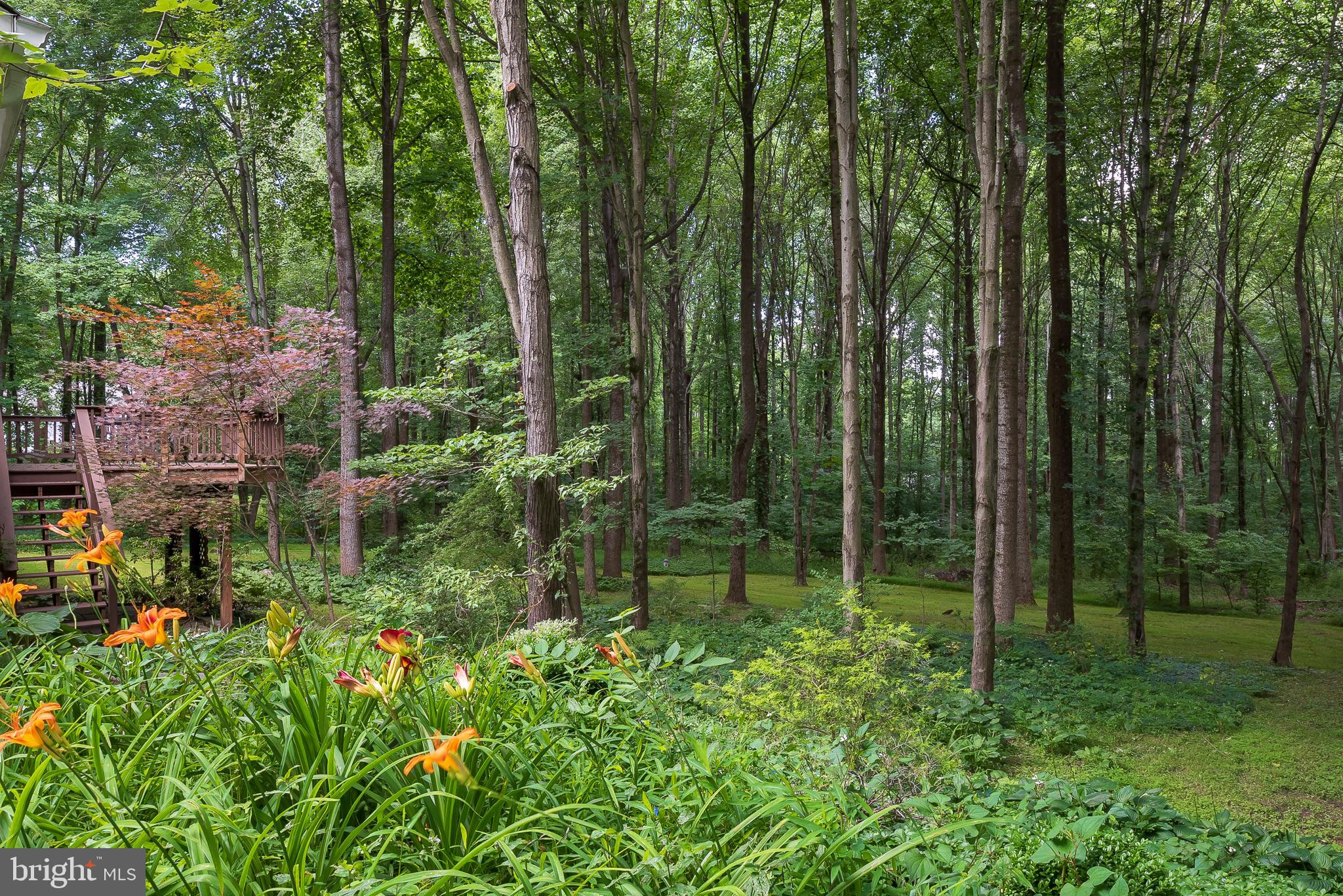 5235 Griffith Road Laytonsville, MD 20882 - Photo 29 of 31 Back Yard