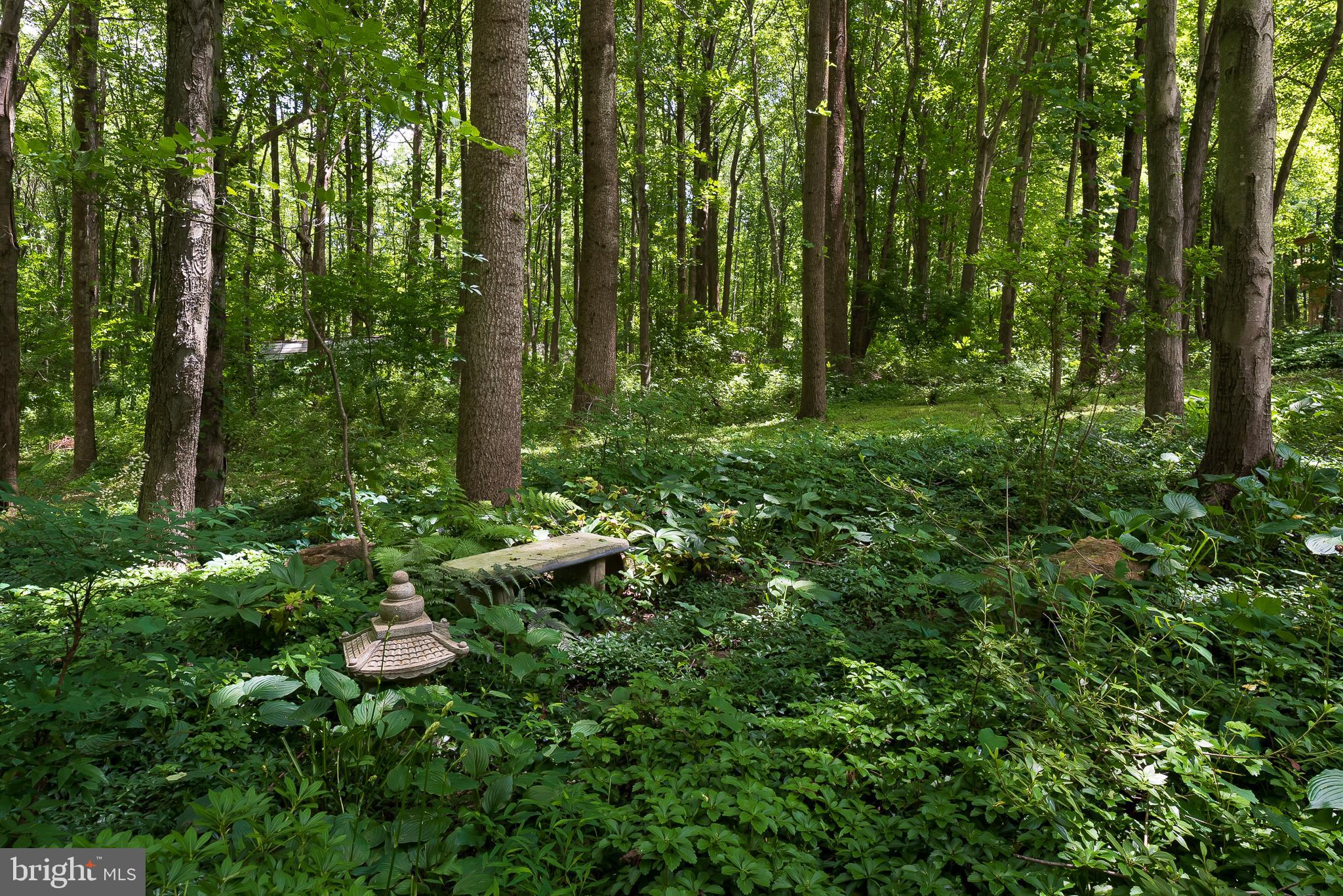 5235 Griffith Road Laytonsville, MD 20882 - Photo 31 of 31 Back Yard (alt view)