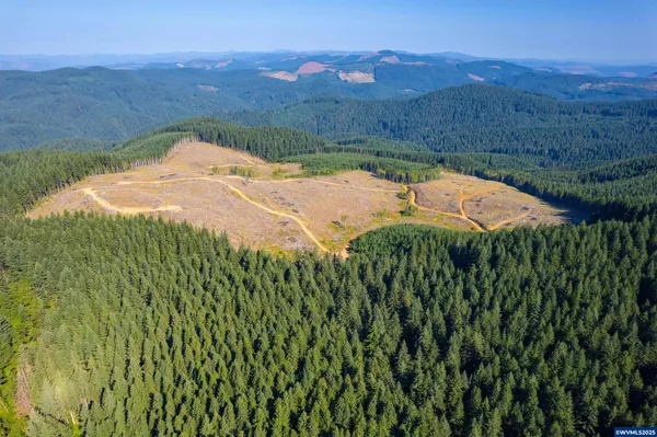 $1,099,000 | 0 Bald Mountain Access Road, Willamina, OR 97396