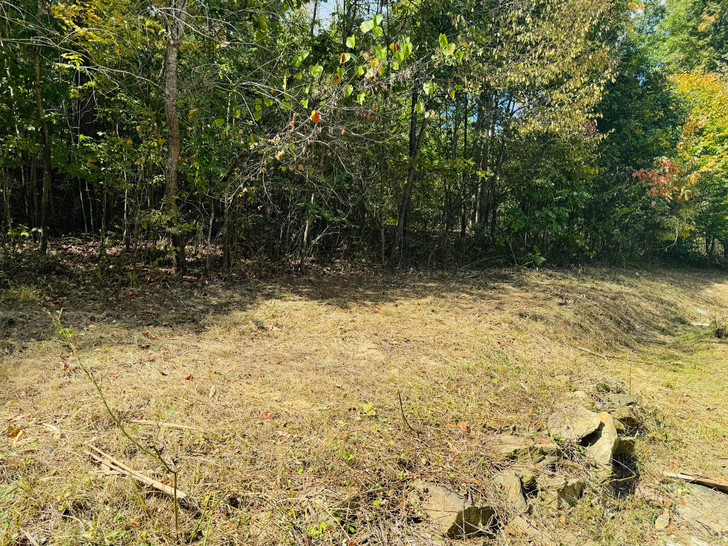 6639 Lemaster Road Athens, OH 45701 - Photo 25 of 27 Area behind home