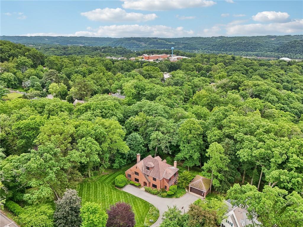 634 West Waldheim Road Pittsburgh, PA 15215 - Photo 47 of 50 a view of a bunch of trees and bushes