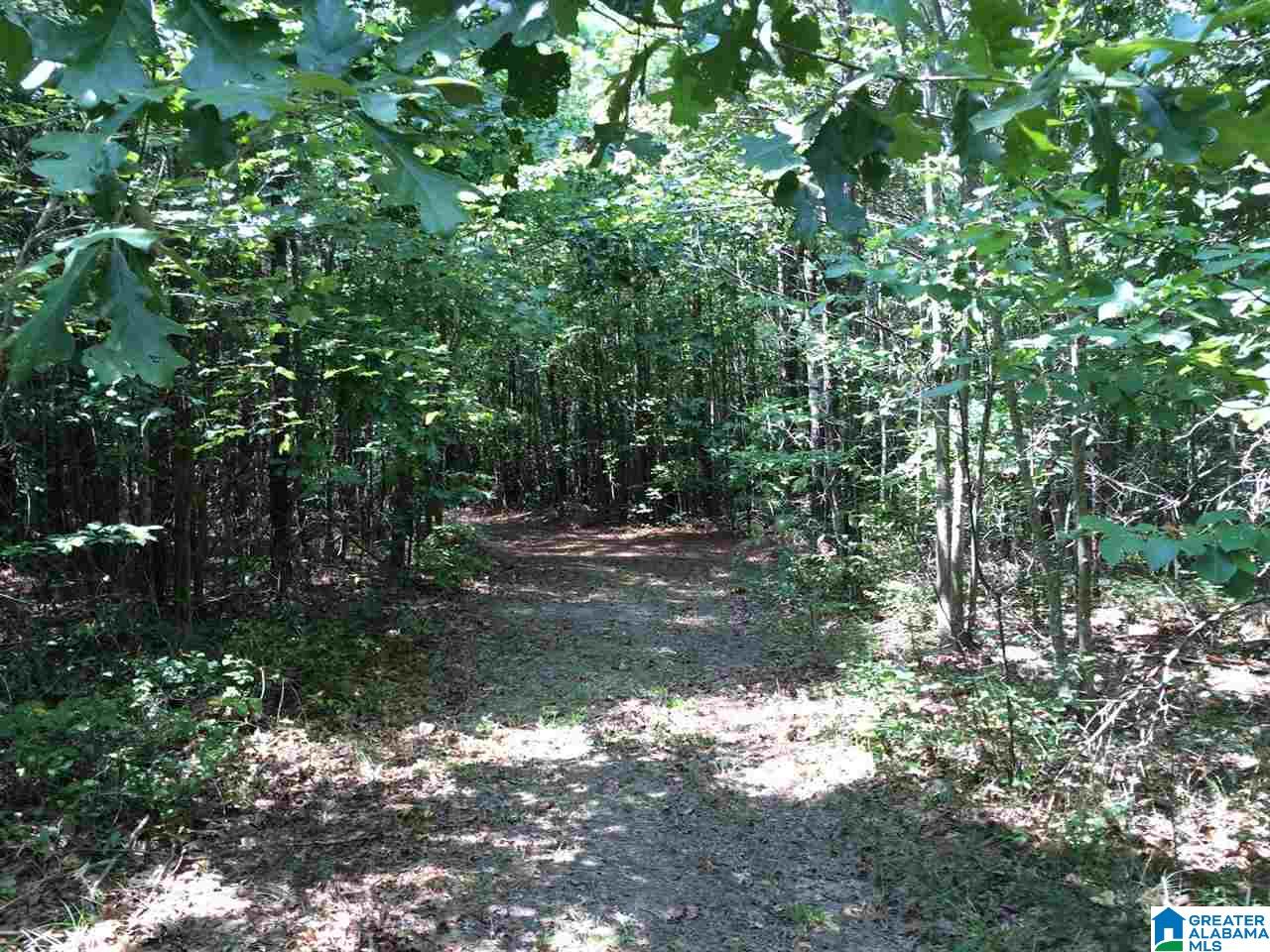 Spunky Hollow Road, Unit 18 7 Oneonta, AL 35121 - Photo 3 of 46