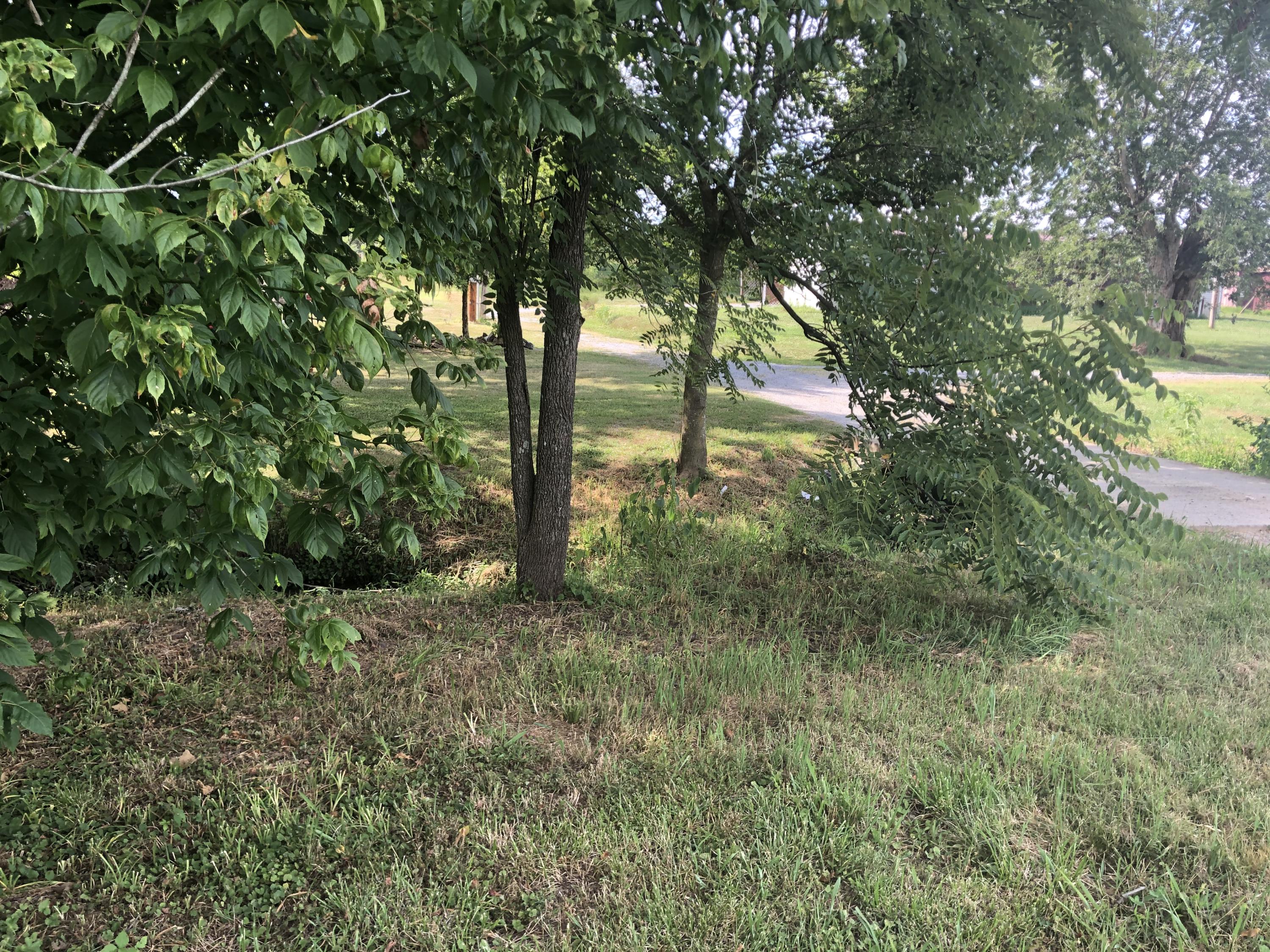 15 Quail Ridge Lane Greeneville, TN 37743 - Photo 17 of 18 IMG_2321
