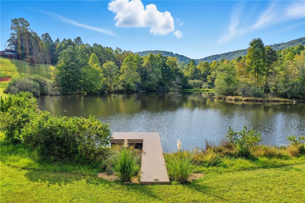 199 Tabitha Drive Jasper, GA 30143 - Photo 2 of 52