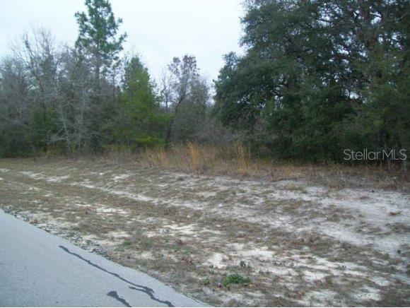 0 Southwest 146th Ln Road Ocala, FL 34473 - Photo 1 of 1 Primary Photo