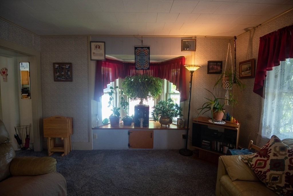 120 Adams Street Barre, MA 01005 - Photo 11 of 42 a living room with furniture and a potted plant