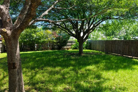 a view of backyard with large trees