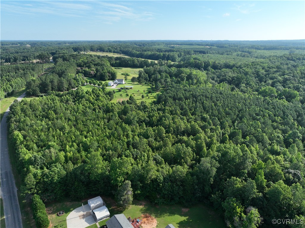 13-ac Trinity Church Road South Hill, VA 23970 - Photo 3 of 15 Gallery Image 3