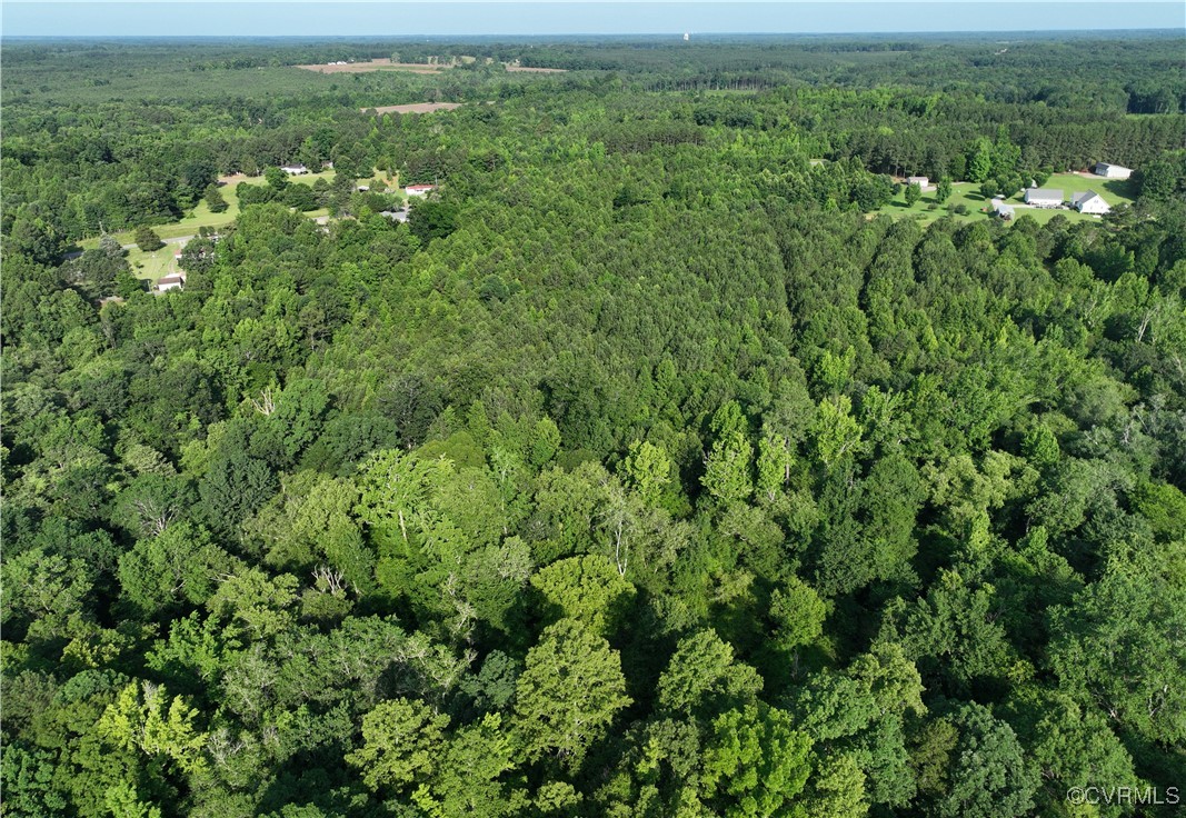 13-ac Trinity Church Road South Hill, VA 23970 - Photo 5 of 15 Gallery Image 5