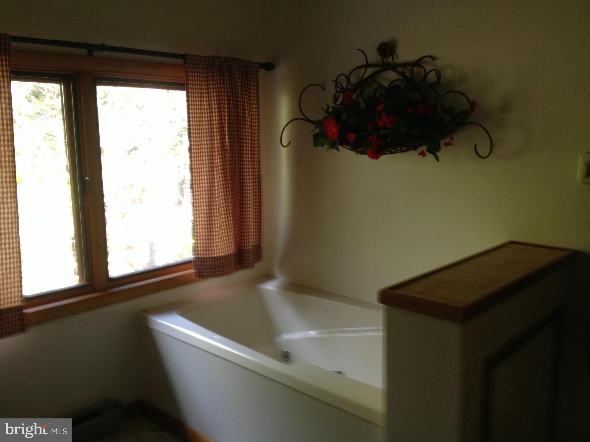 297 Deer Spring South Paw Paw, WV 25434 - Photo 16 of 25 bathtub