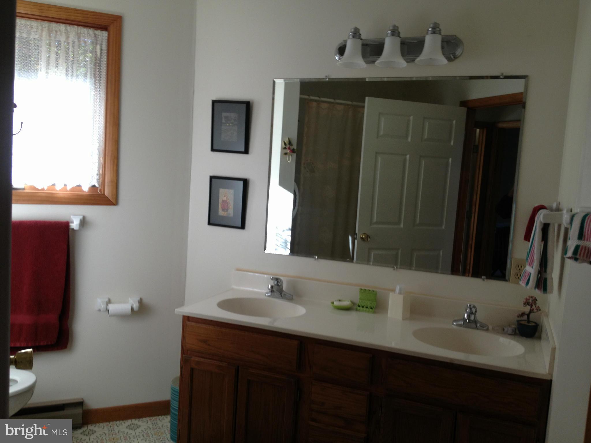 297 Deer Spring South Paw Paw, WV 25434 - Photo 18 of 25 Bath