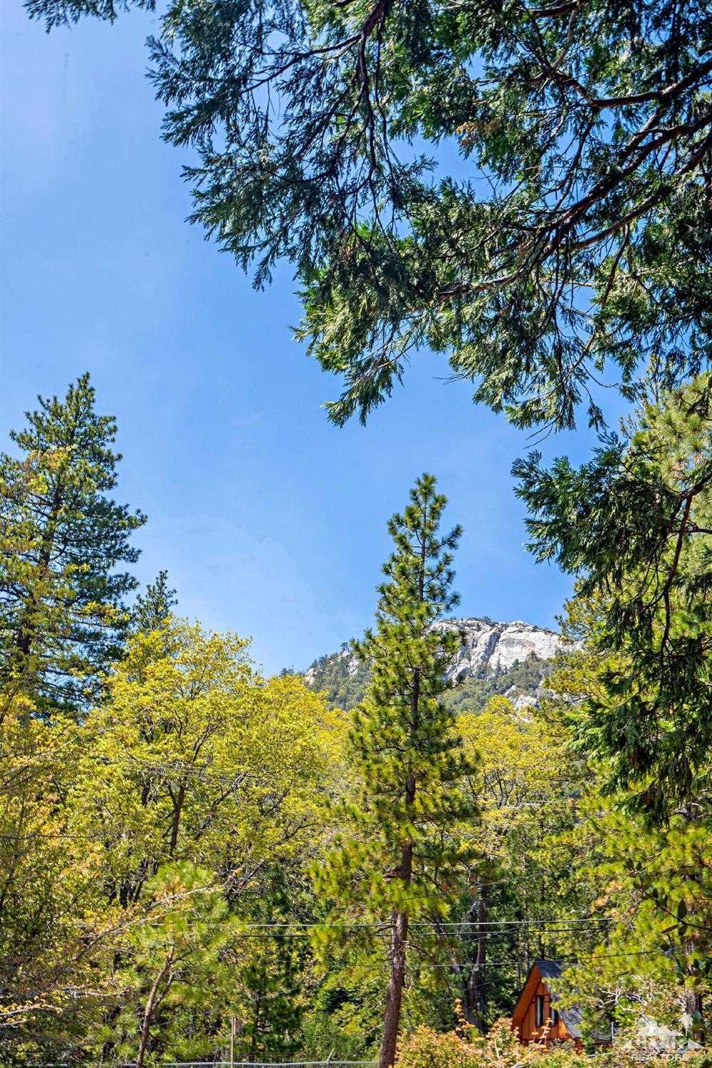 24838 Fern Valley Road Idyllwild, CA 92549 - Photo 30 of 38