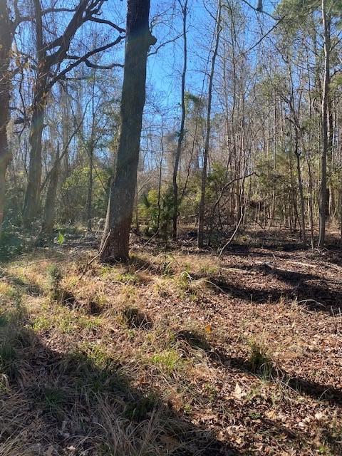 0 River Road Johns Island, SC 29455 - Photo 5 of 7 4