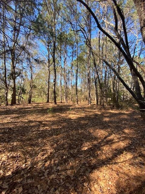 0 River Road Johns Island, SC 29455 - Photo 6 of 7 6