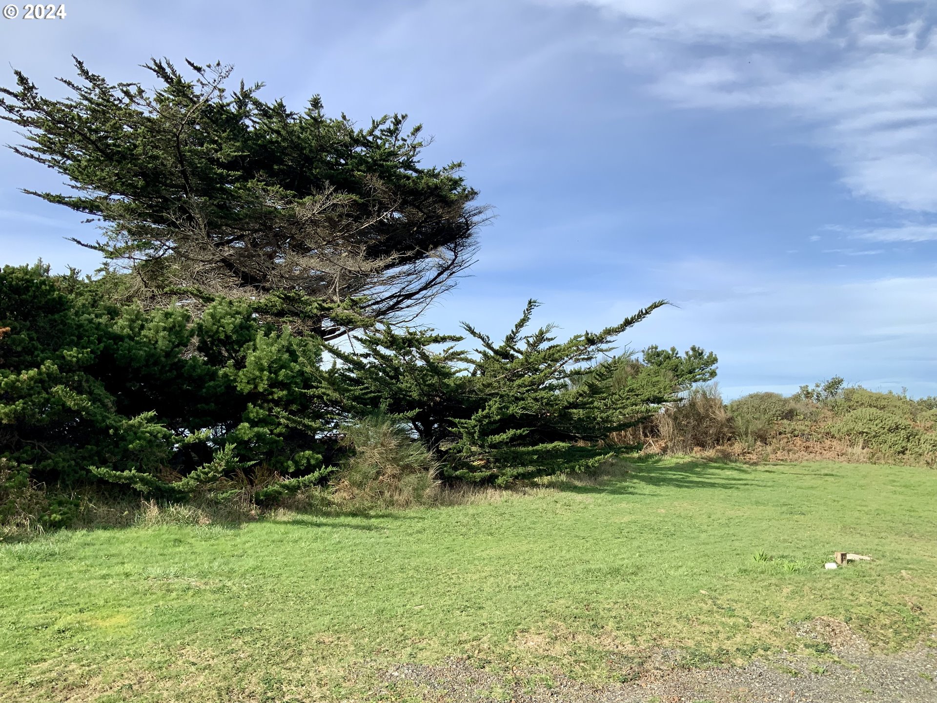 0 Surfside Drive, Unit 1101 Gold Beach, OR 97444 - Photo 16 of 19 a view of a garden