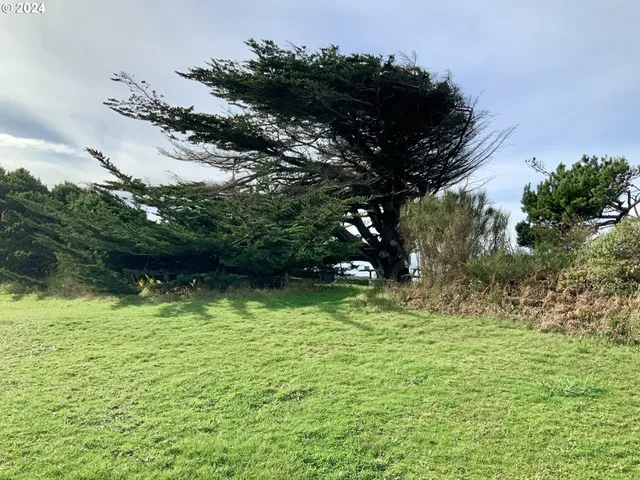 a view of an outdoor space