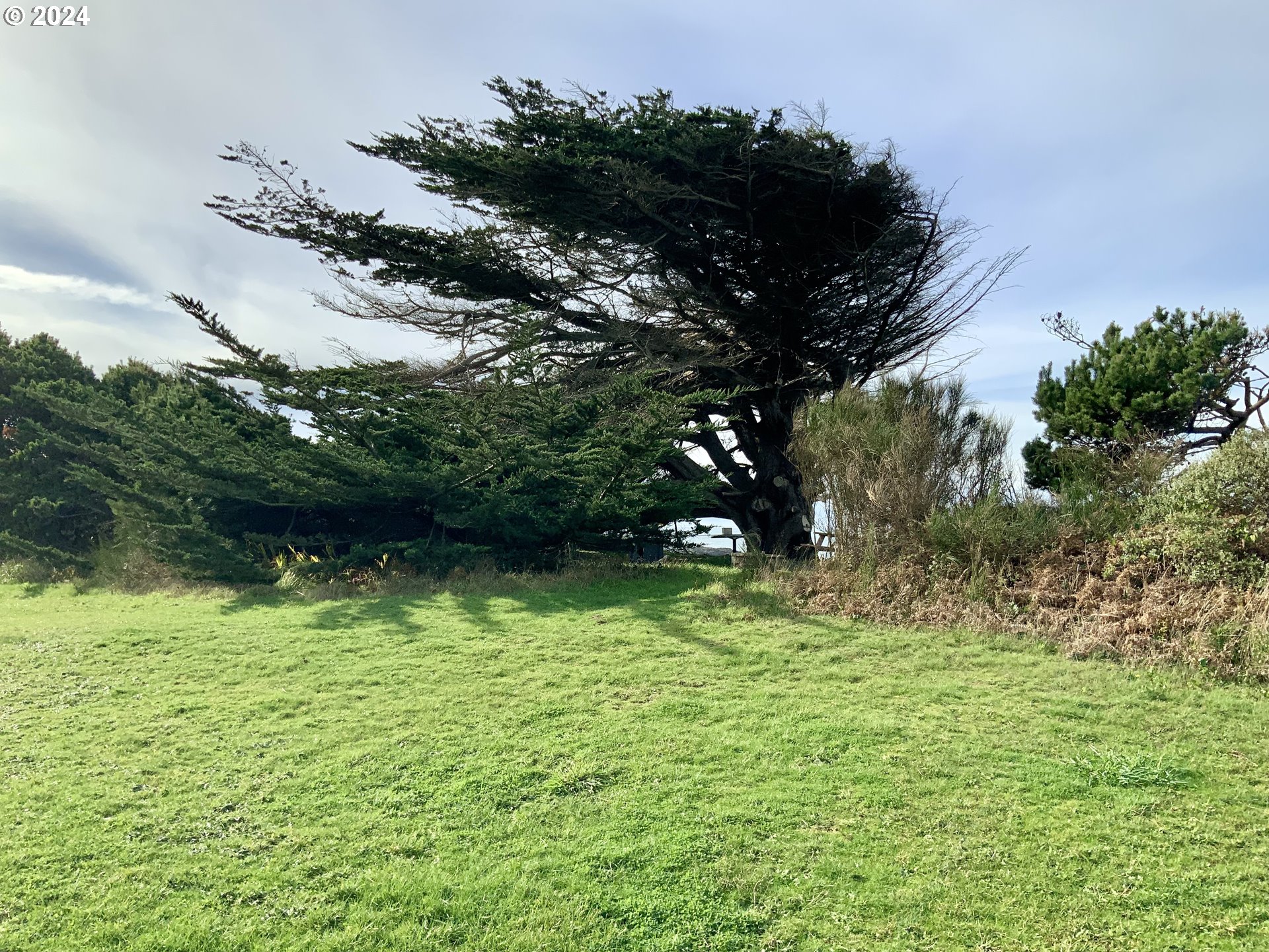 0 Surfside Drive, Unit 1101 Gold Beach, OR 97444 - Photo 5 of 19 a view of an outdoor space