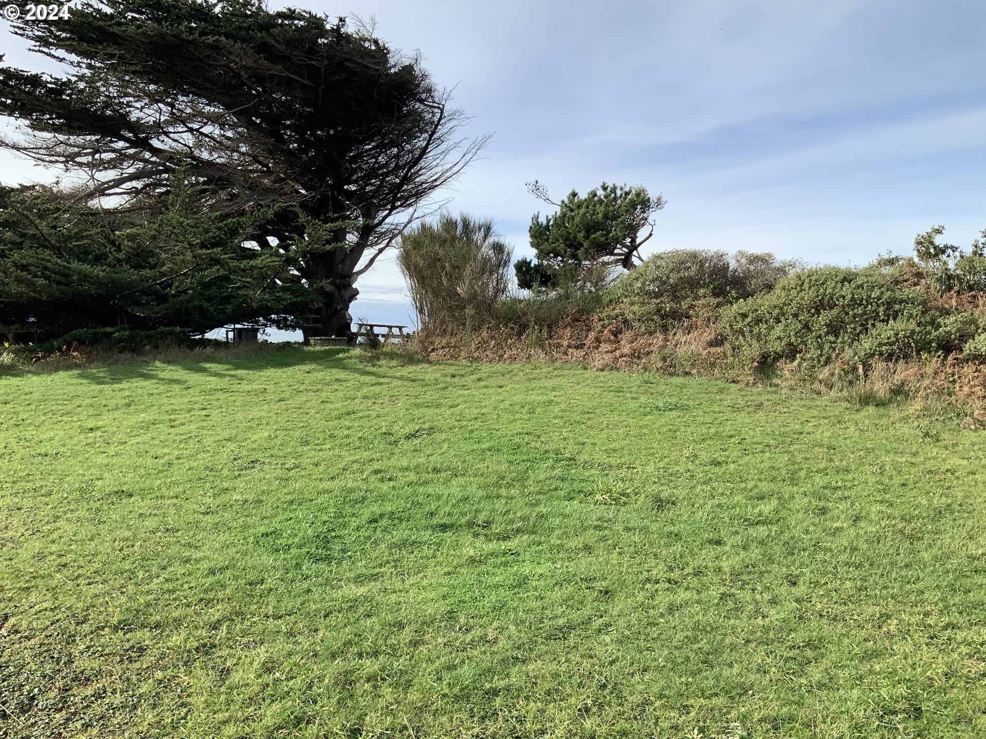 0 Surfside Drive, Unit 1101 Gold Beach, OR 97444 - Photo 9 of 19 a backyard of a house with lots of green space