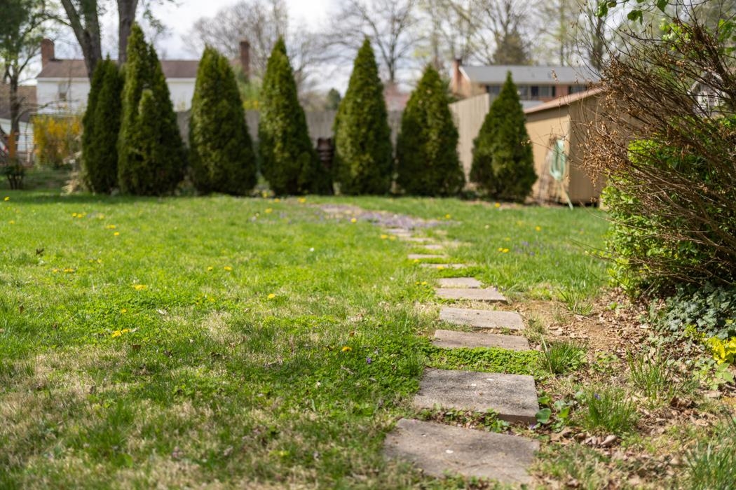 1267 Meadowbrook Road Waynesboro, VA 22980 - Photo 54 of 63 Gallery Image 54