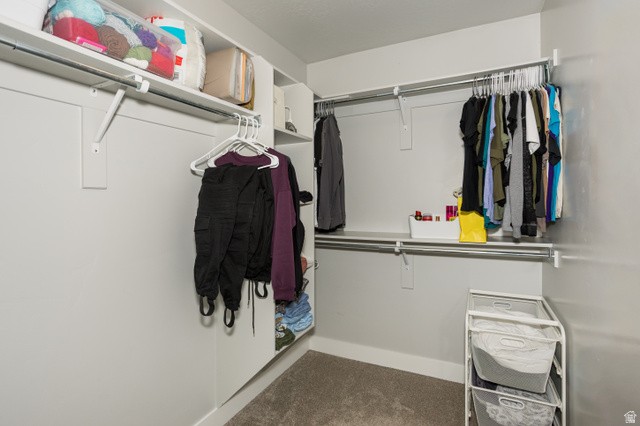 2452 West 500 South, Unit 2 Springville, UT 84663 - Photo 16 of 23 Walk-in closet featuring carpet flooring, built-in shelving, and multiple clothing rods
