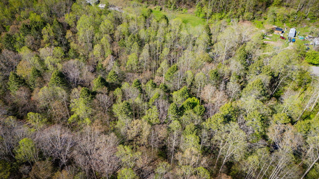 Tbd Guest River Road Norton, VA 24273 - Photo 11 of 16 Gallery Image 11