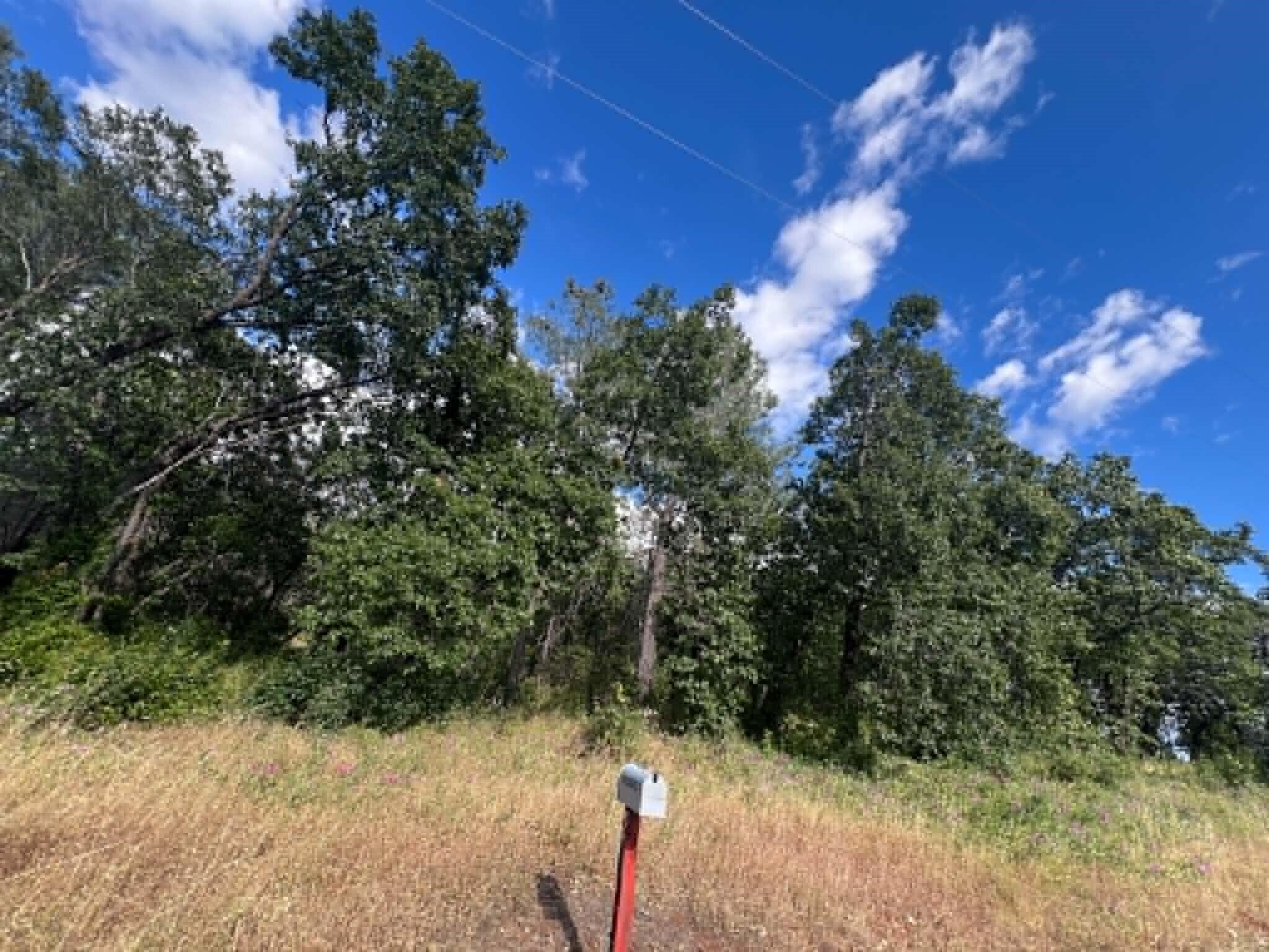 0 Manton School Road Manton, CA 96059 - Photo 6 of 13 N