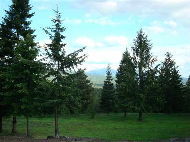 2591 North Willms Road Elk, WA 99009 - Photo 9 of 20