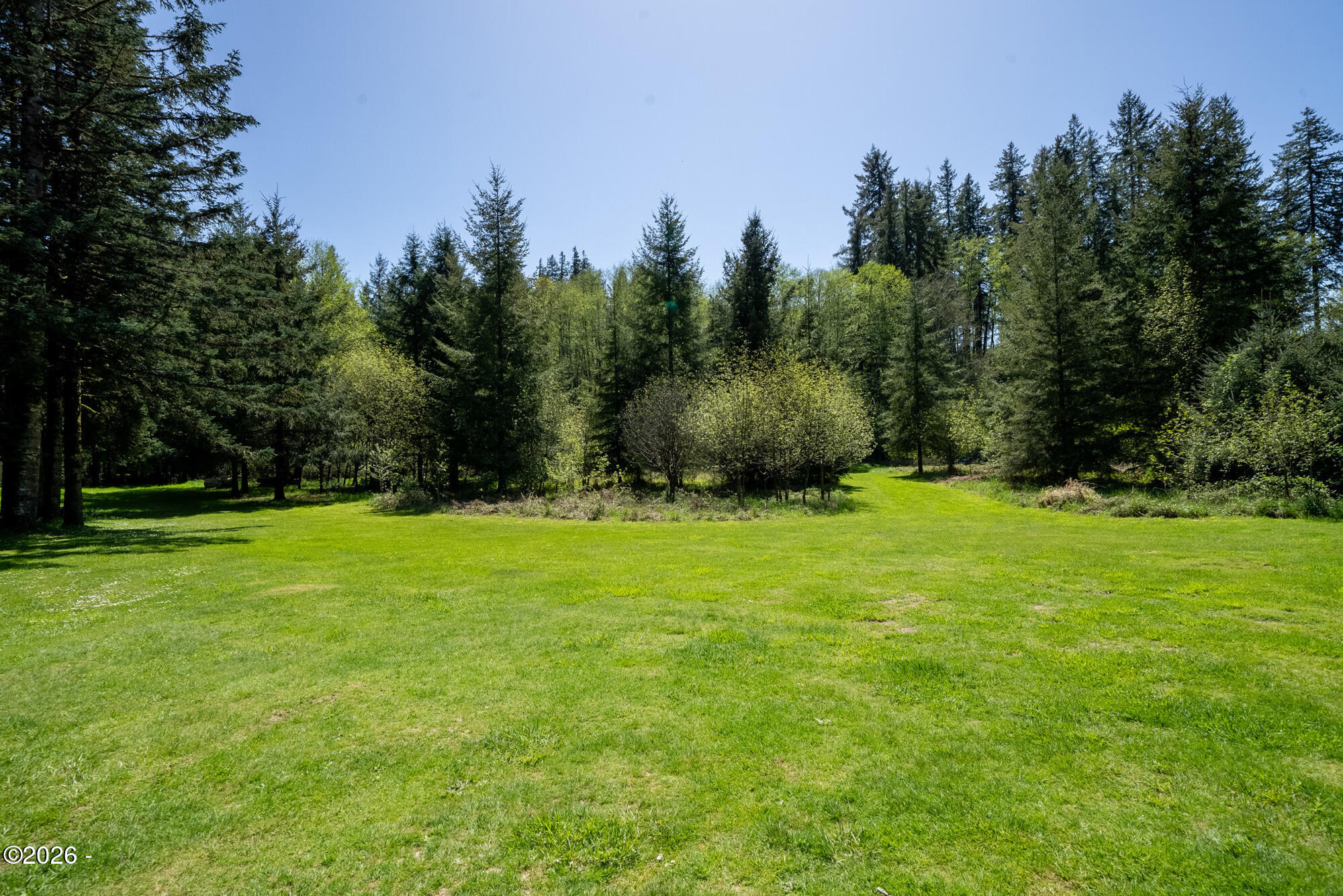 32185 Upper Nestucca Road Beaver, OR 97108 - Photo 7 of 24 Meadow