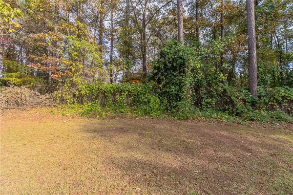 a view of a yard with a tree