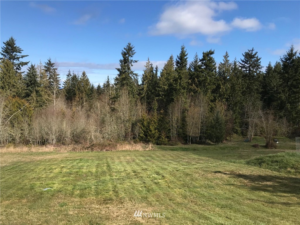 163 Erving Jacobs Road Port Angeles, WA 98362 - Photo 7 of 29