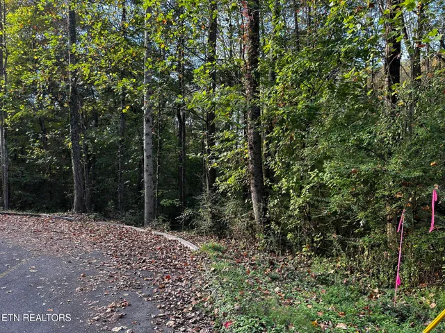 $35,000 | Lot 13 Trenton Lane, Clinton, TN 37716