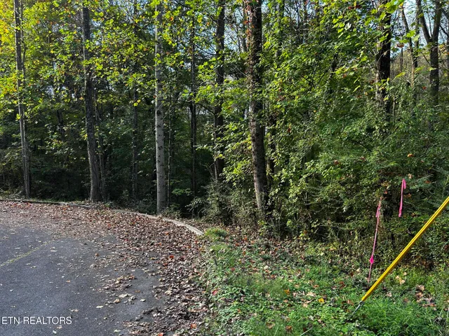 $35,000 | Lot 13 Trenton Lane, Clinton, TN 37716
